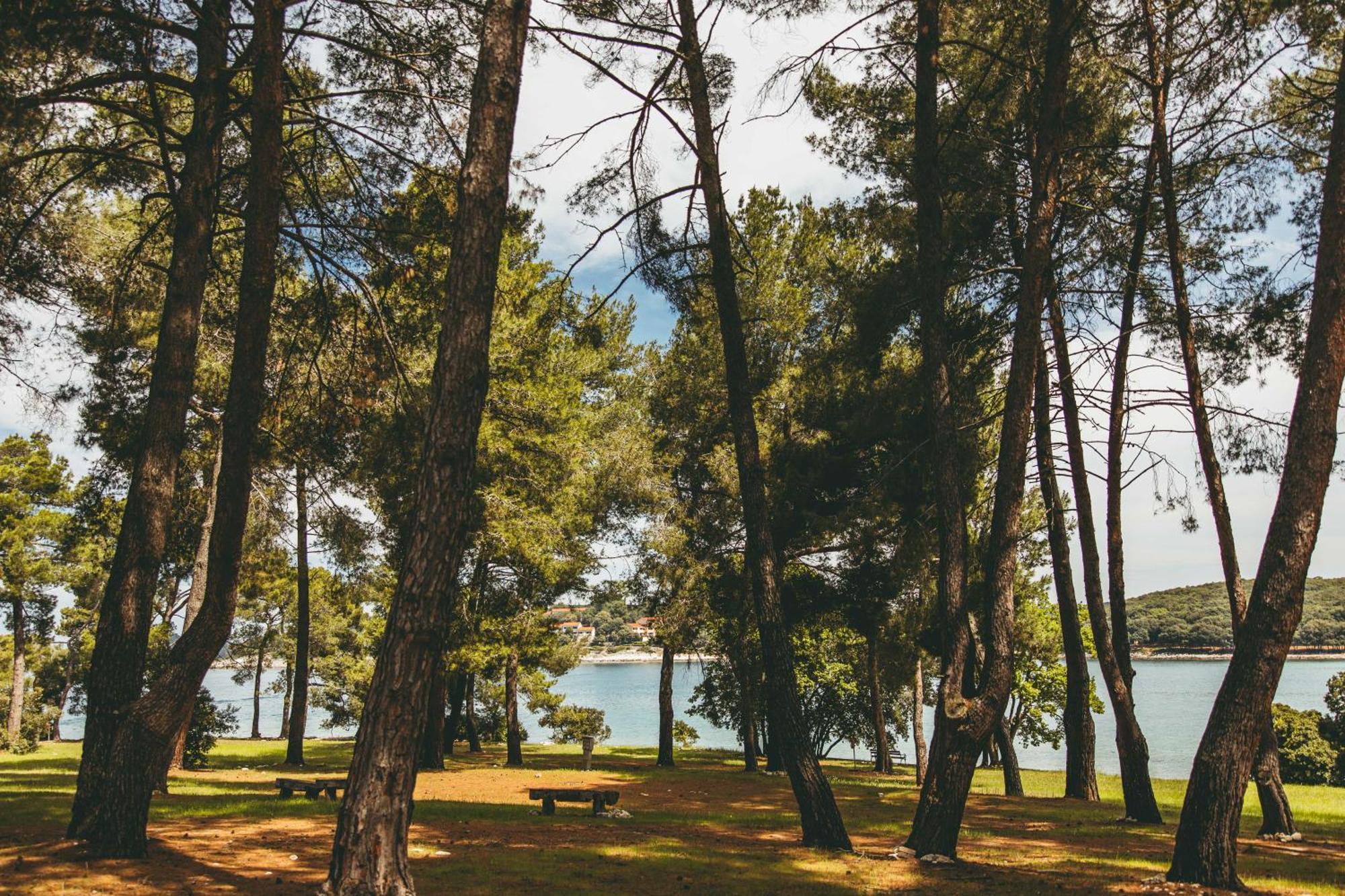 Maistra Camping Koversada Uncovered Naturist Pitches Vrsar Luaran gambar